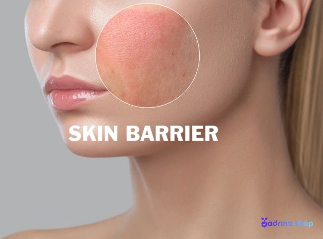 سد دفاعی پوست چیست؟